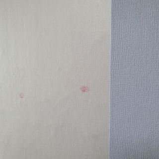 쿠셔니 붙이는 실크단열벽지 50cm x 20m 4olor 중 택1 — 5점을 준 리뷰어가 2022년 1월 올린 사용 사진