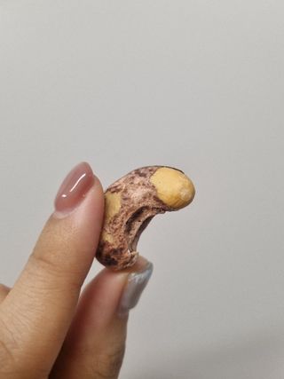 얌야미님이 올린 리뷰 사진 3