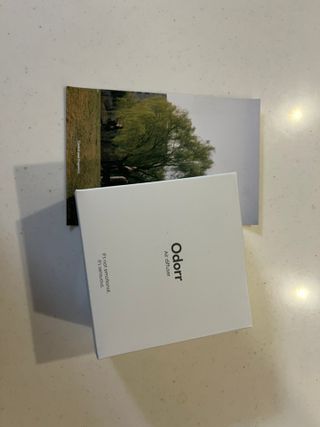 딩굴잉님이 올린 리뷰 사진 1