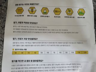 옳음 딸기 논산 설향 딸기 900g 산지직송 — 5점을 준 리뷰어가 2021년 1월 올린 사용 사진