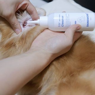 [댕모어 클리너 3종] 아이클리너 / 이어클리너 / 덴탈클리너 3종 세트 (120ml) — 5점을 준 리뷰어가 2023년 10월 올린 사용 사진