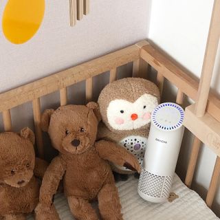 지닌지님이 올린 리뷰 사진 1