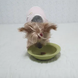 솜희님이 올린 리뷰 사진 3