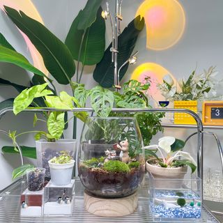 일상공간님이 올린 리뷰 사진 4