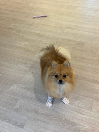 다영님이 올린 리뷰 사진 2