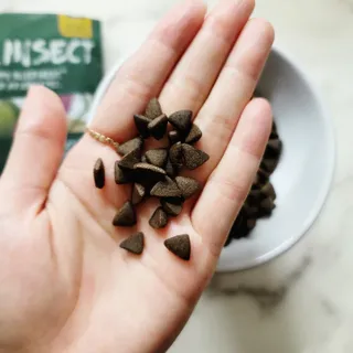 [푸디웜] 라포그  리얼인섹트 웨이트밸런스 저알러지 강아지 사료  1.2KG — 5점을 준 리뷰어가 2022년 7월 올린 사용 사진