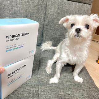 라진님이 올린 리뷰 사진 2