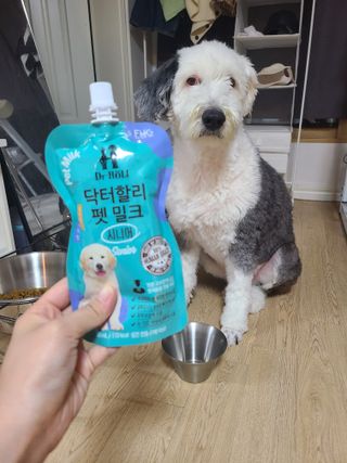 주디님이 올린 리뷰 사진 1
