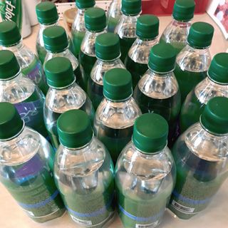 몽베스트 Montbest with Sparkling water Lemon OR Lime 20병(랜덤) — 5점을 준 리뷰어가 2021년 10월 올린 사용 사진