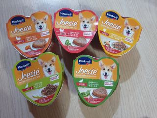 비타크래프트 조에시 하트캔 85g 강아지 습식캔 10캔 — 4.5점을 준 리뷰어가 2021년 9월 올린 사용 사진