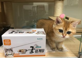 고고고님이 올린 리뷰 사진 1