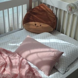또리님이 올린 리뷰 사진 1