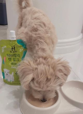 쏘이맘님이 올린 리뷰 사진 1