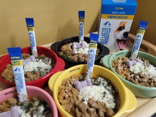 씨디랩 장 건강과 구강 건강을 한 번에 더블락토 강아지 고양이 유산균 — 5점을 준 리뷰어가 2021년 1월 올린 사용 사진