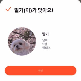 망아진가봄님이 올린 리뷰 사진 1
