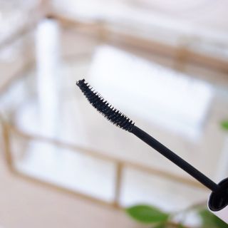 더소설 소설 블랙아이래쉬 세럼 10g(SOSEOL BLACK EYELASH SERUM 10g) — 5점을 준 리뷰어가 2023년 12월 올린 사용 사진