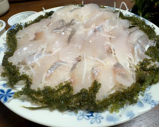 [피터씨마켓] 바다포도 100g(20g x 5봉) 우미부도 그린캐비어 ASMR 소분포장 — 5점을 준 리뷰어가 2024년 8월 올린 사용 사진