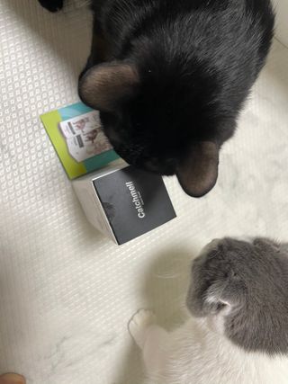 핑크천사님이 올린 리뷰 사진 2