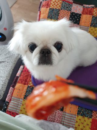 페키아름님이 올린 리뷰 사진 1