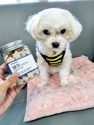 페페로니 자기전에 먹는 저알러지 껌 세트 치킨+오리 — 4점을 준 리뷰어가 2021년 8월 올린 사용 사진