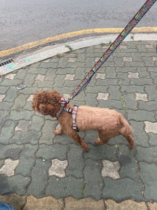 프롬님이 올린 리뷰 사진 3