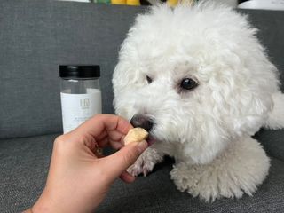 정민트님이 올린 리뷰 사진 2