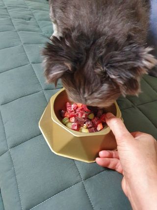 보미누나님이 올린 리뷰 사진 1