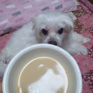 케키님이 올린 리뷰 사진 1