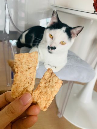 으나님이 올린 리뷰 사진 3
