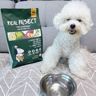 [푸디웜] 라포그  리얼인섹트 웨이트밸런스 저알러지 강아지 사료  1.2KG — 5점을 준 리뷰어가 2022년 7월 올린 사용 사진