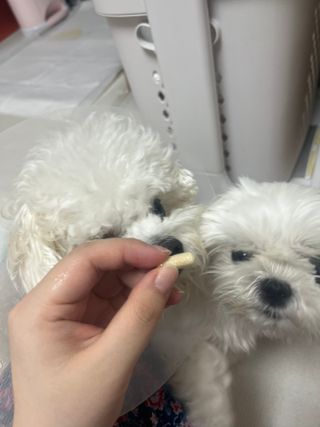 린짱님이 올린 리뷰 사진 3