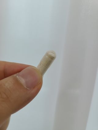 [지셀라] 프로바이오틱스 100억 유산균 보장 (1개월분 / 350mg X 30캡슐) — 5점을 준 리뷰어가 2023년 6월 올린 사용 사진