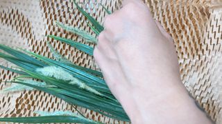 찐미님님이 올린 리뷰 사진 4
