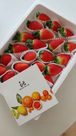옳음 딸기 논산 설향 딸기 900g 산지직송 — 5점을 준 리뷰어가 2021년 1월 올린 사용 사진