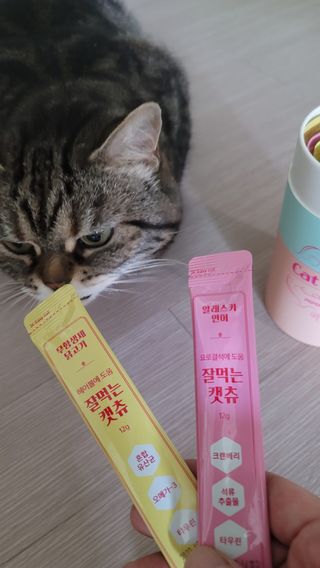 페페로니 잘 먹는 캣츄 - 무항생제 닭고기 12개 + 알래스카 연어 12개 — 5점을 준 리뷰어가 2021년 7월 올린 사용 사진