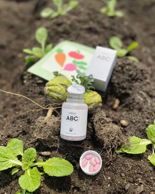 야채습관 ABC 120정 2개월분 하루야채 — 5점을 준 리뷰어가 2022년 8월 올린 사용 사진