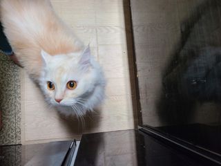 미랭님이 올린 리뷰 사진 1
