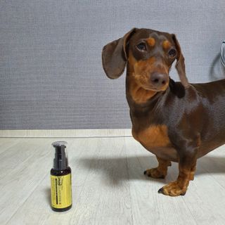 체르엠  프루브 콜라겐 앰플세럼 60ml 1병 — 4점을 준 리뷰어가 2021년 10월 올린 사용 사진
