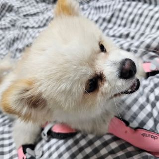 하울님이 올린 리뷰 사진 1