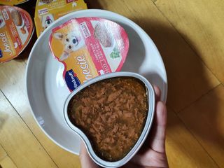 비타크래프트 조에시 하트캔 85g 강아지 습식캔 10캔 — 5점을 준 리뷰어가 2021년 9월 올린 사용 사진