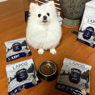 [푸디웜] 라포그 리얼인섹트 소프트키블 스킨 1KG — 5점을 준 리뷰어가 2022년 9월 올린 사용 사진