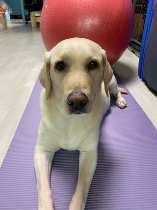 Lilly❤️님이 올린 리뷰 사진 2