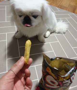 페키아름님이 올린 리뷰 사진 4
