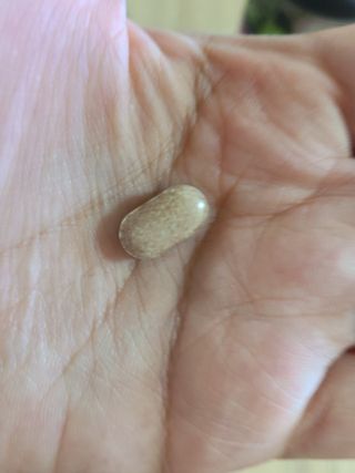 슬림플래닛 녹차카테킨 500mg 애프터밀 — 5점을 준 리뷰어가 2021년 7월 올린 사용 사진
