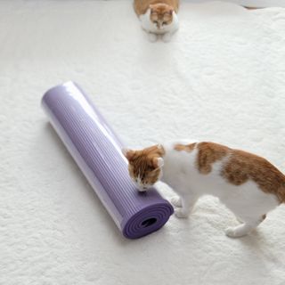 원달러샵 NBR 10mm 바디핏 요가매트 — 리뷰어가 2021년 3월 올린 사용 사진