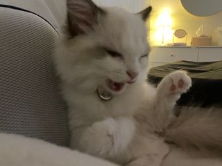 율집사님이 올린 리뷰 사진 4