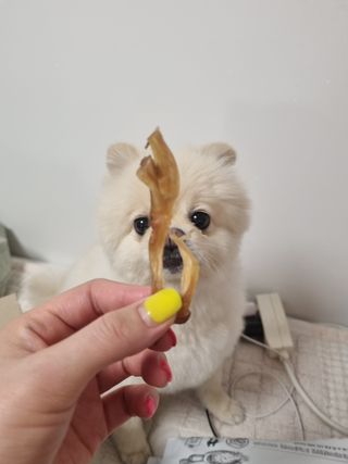 고이든님이 올린 리뷰 사진 3