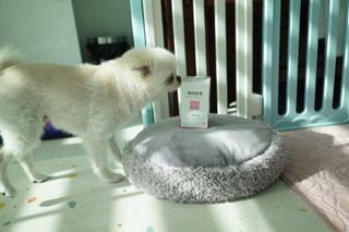 소보이님이 올린 리뷰 사진 2
