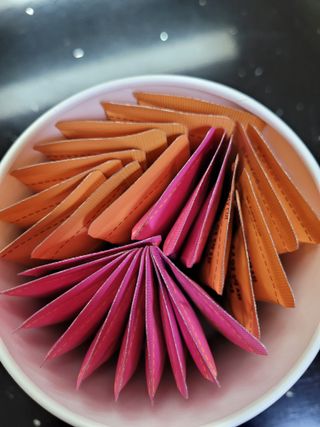 페페로니 맛있는 스틱 - 무항생제 닭고기 15개 + 알래스카 연어 15개 — 5점을 준 리뷰어가 2021년 10월 올린 사용 사진