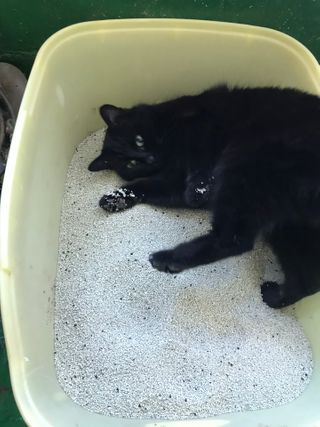 vmintv님이 올린 리뷰 사진 3